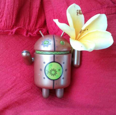Android Bali Android Bali